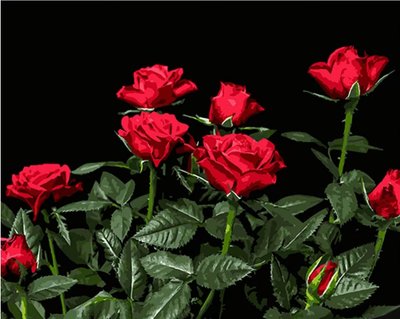 Набір для розпису по номерах Яскраві червоні троянди Strateg на чорному фоні розміром 40х50 см (AH1051) AH1051 фото