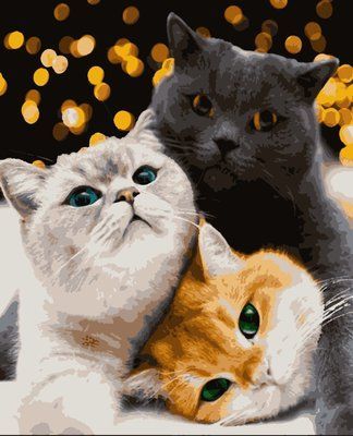 Картина за номерами PNX4200 Котики-муркотики PNX4200 фото