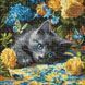 Алмазна мозаїка Кошеня блакитнооке AMO8340 котик AMO8340 фото 1