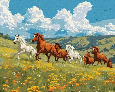 Картина за номерами КНО6591 Сила і грація, коні КНО6591 фото