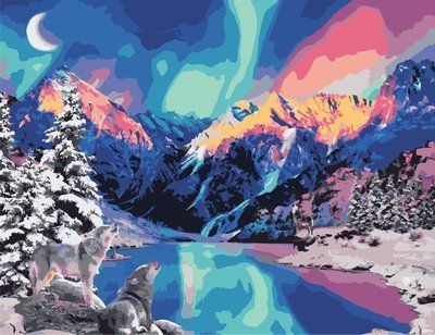 Картина за номерами ArtStory Північне сяйво 50*65см в коробці+лак AS0958 фото