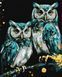 Картина за номерами Мудрі совушки з фарбами металік extra КНО6514  КНО6514 фото 1