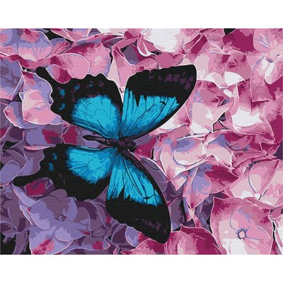 Картина за номерами: Метелик на квітах 40*50 BS21627 фото