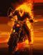 Картина за номерами Примарний вершник PN1222 PN1222 фото 1
