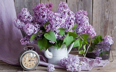 Алмазна мозаїка Бузок 60536 60536 фото