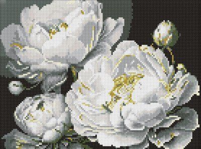 Алмазна мозаїка Бездоганна краса AMO8169 AMO8169 фото