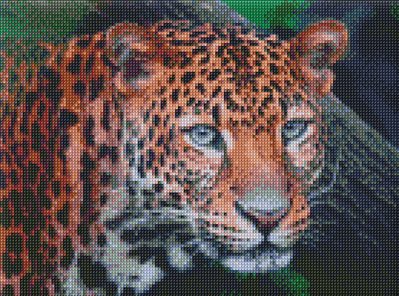 Набір з алмазною мозаїкою Дикий погляд леопарда AMO7203 AMO7203 фото